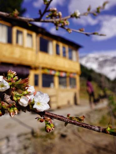 Unique mud house experience with stunning views at Glampeco in Manali